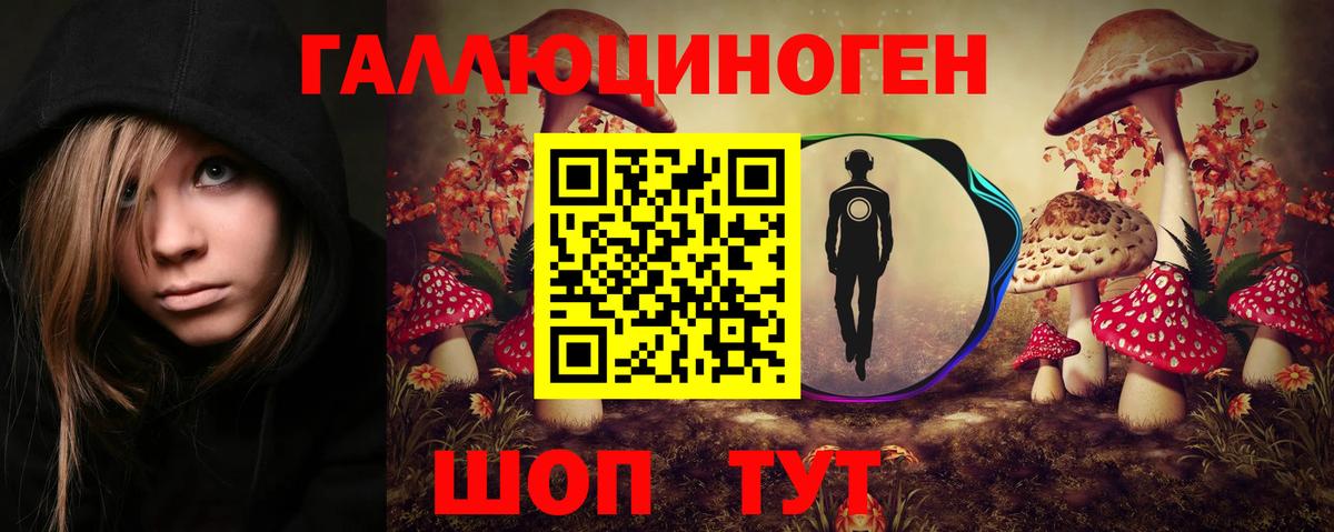 Псилоцибиновые грибы Psilocybe  Галлюциногенные грибы прущие грибы  Вход с VPN  цена   Жигулёвск 